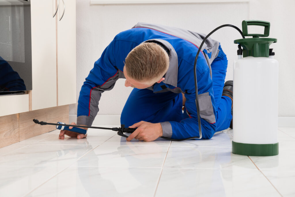 Florida Pest Prevention